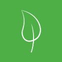 Leaf icon
